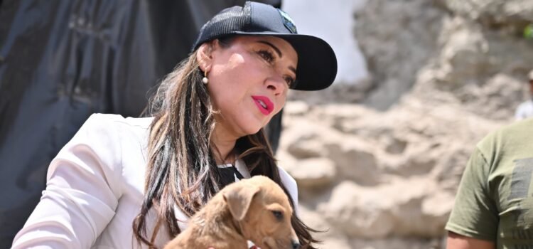 Reconoce alcaldesa de Guanajuato necesidad de endurecer sanciones por maltrato animal Reconoce alcaldesa de Guanajuato necesidad de endurecer sanciones por maltrato animal