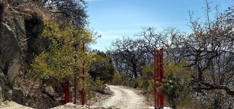 Colectivo acusa a empresa ICREAR de invadir zona protegida en Los Mexicanos de Guanajuato