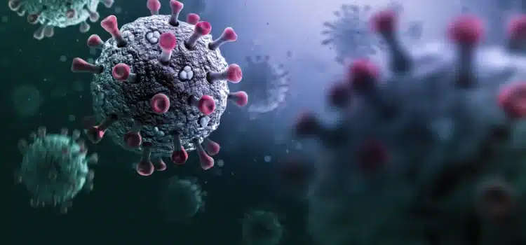 Emite la OMS alerta por virus Stratus Emite la OMS alerta por virus Stratus