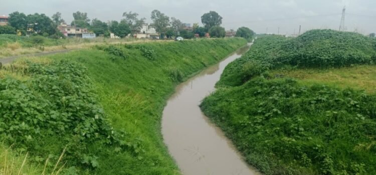 Guanajuato apoya búsqueda de adolescente en Michoacán tras caer en manglar con cocodrilos Guanajuato apoya búsqueda de adolescente en Michoacán tras caer en manglar con cocodrilos