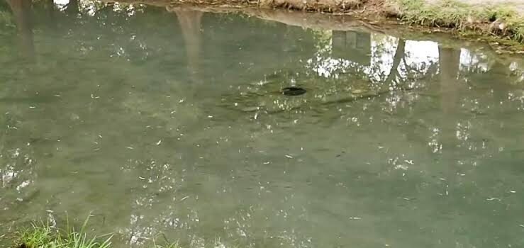 Agua contaminada pone en peligro a la población de Guanajuato