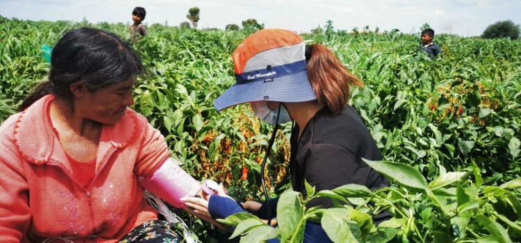 Trabajan en actualizar el protocolo de atención para migrantes y jornaleros migrantes de Guanajuato