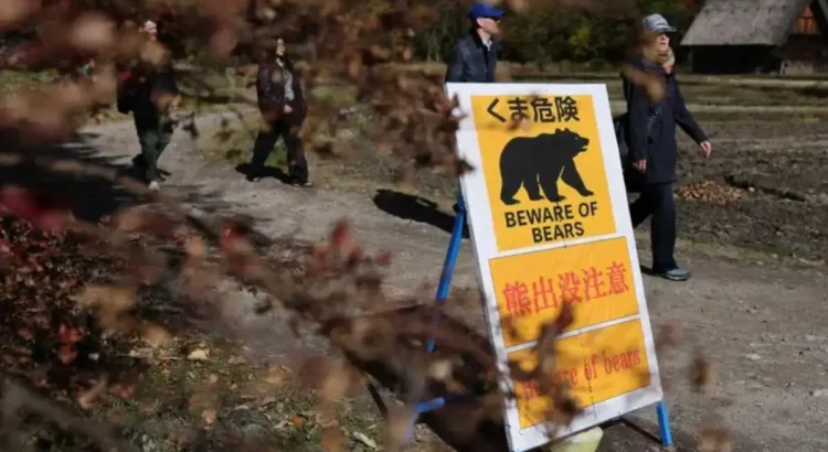 Empleado se defendió con judo de un ataque de oso