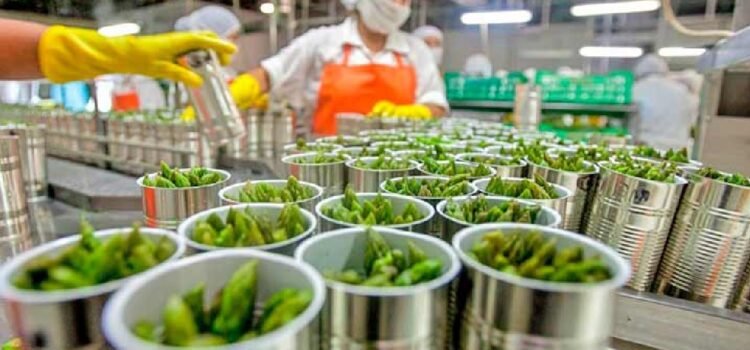 Guanajuato es segundo lugar a nivel nacional como productor y exportador de alimentos