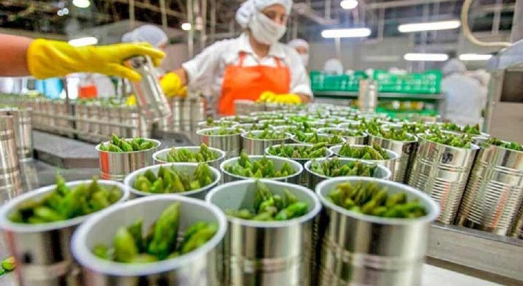 Guanajuato es segundo lugar a nivel nacional como productor y exportador de alimentos