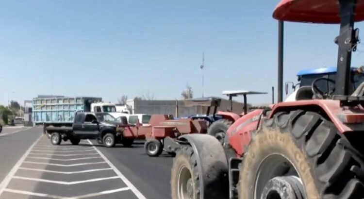 Agricultores mantienen bloqueos en carreteras de Guanajuato; exigen precio justo del maíz Agricultores mantienen bloqueos en carreteras de Guanajuato; exigen precio justo del maíz