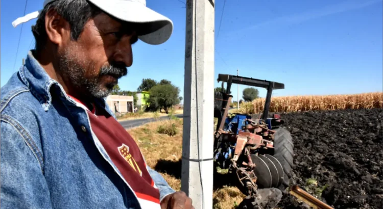 Campesinos de Guanajuato recurren al comercio: el campo ya no les deja para vivir