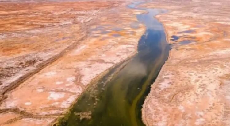 Acuerdan México y Estados Unidos medidas para cumplir Tratado de Aguas Acuerdan México y Estados Unidos medidas para cumplir Tratado de Aguas