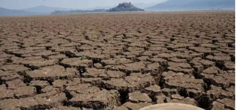 Cierra México el 2025 con 20.5% del territorio afectado por la sequía