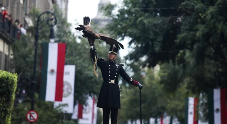 Defensa incluye por primera vez a la GN y a Mexicana de Aviación en su calendario de presupuesto 2026