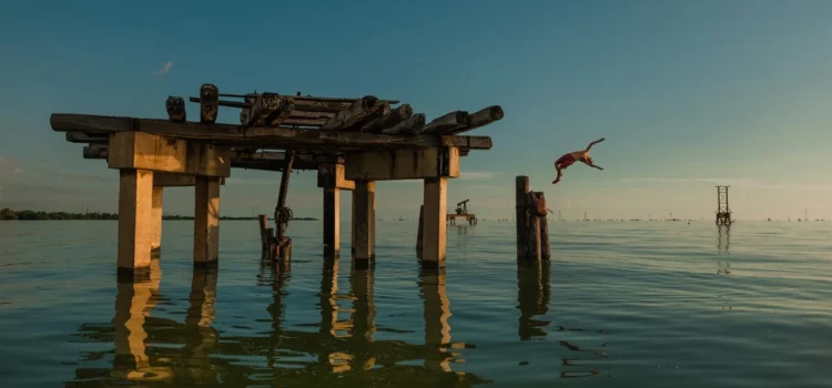 Exponen en Madrid una selección de las mejores fotos hechas con cámara Leica I