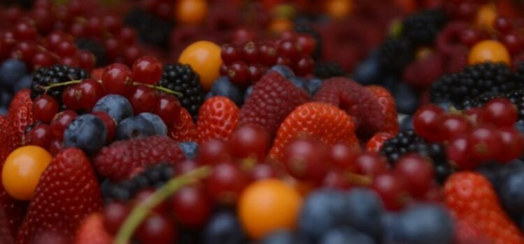 Guanajuato impulsa producción de berries con Driscoll’s para fortalecer exportaciones