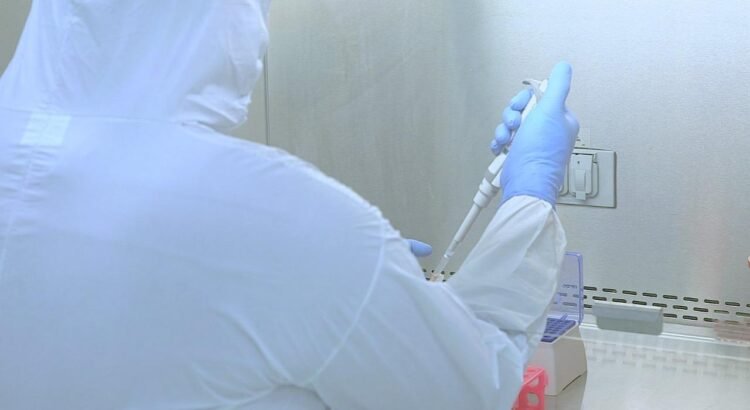 Guanajuato refuerza vigilancia sanitaria tras detectarse en México la variante H3N2 K de la influenza Guanajuato refuerza vigilancia sanitaria tras detectarse en México la variante H3N2 K de la influenza